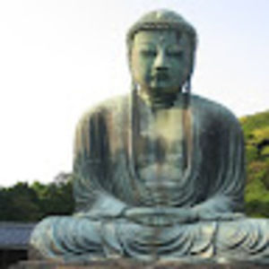 Meet your Posher, Cody